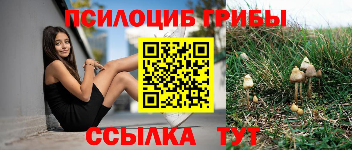 Белорецк  Галлюциногенные грибы Magic Shrooms  Вход с VPN  Псилоцибиновые грибы мицелий 